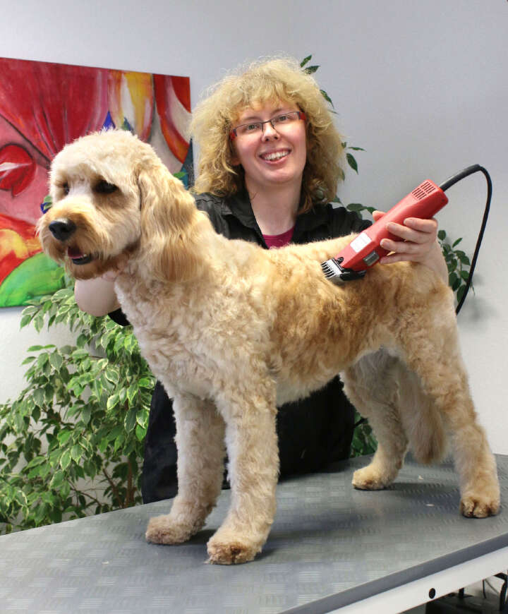 AESCULAP Schermaschine Favorita Speed